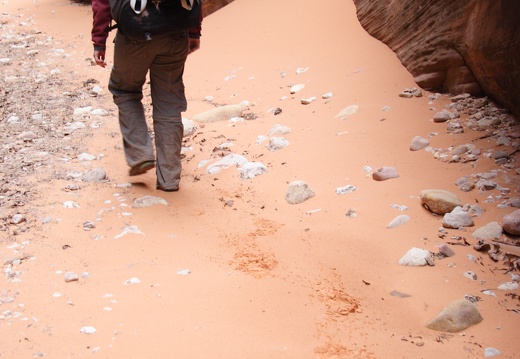 Jeffs Paria Canyon 2010 267